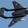 de Havilland Sea Vixen FAW2