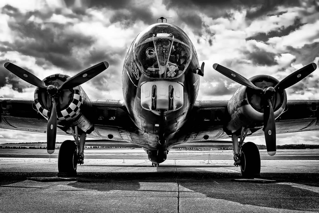 Sally B by Daniel Wales Images on DeviantArt Sally B by Daniel Wales Images on DeviantArt