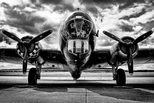 Sally B