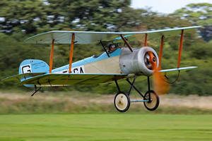 Sopwith Dove (Reproduction)