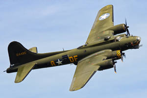 Sally B