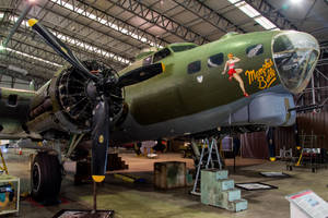 Sally B