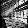 Audley End Greenhouse (Black and White)