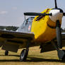 Hispano HA-1112 M1L Buchon