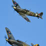 Spitfire and Sea Hurricane