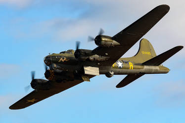 Sally B