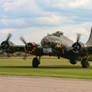 Sally B