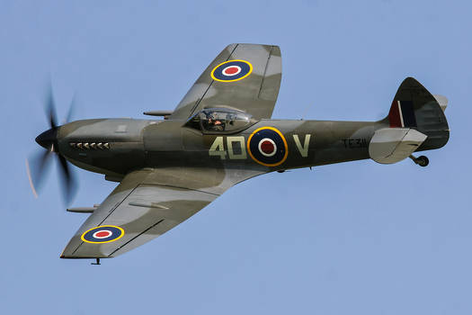 Supermarine Spitfire LF.XVIe