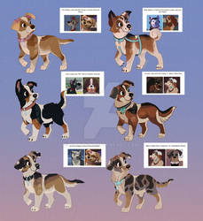 Random crackship inspired pup adopts