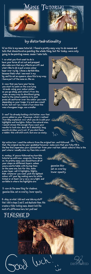 Mane Tutorial