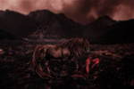 Soldier by DistortedRationality