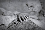 Unity with nature4 by Julph