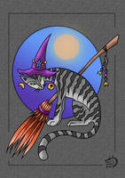 Witchy kitty