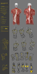 Simplify human body study 43CW by JustIRaziel