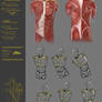 Simplify human body study 43CW