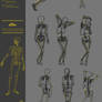 Bend the human skeleton 47CW