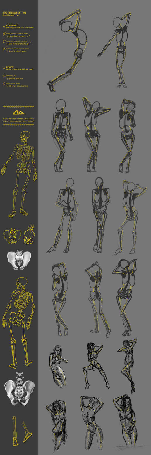 Bend the human skeleton 47CW by JustIRaziel on DeviantArt