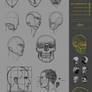 CW05 Head-Skull Study