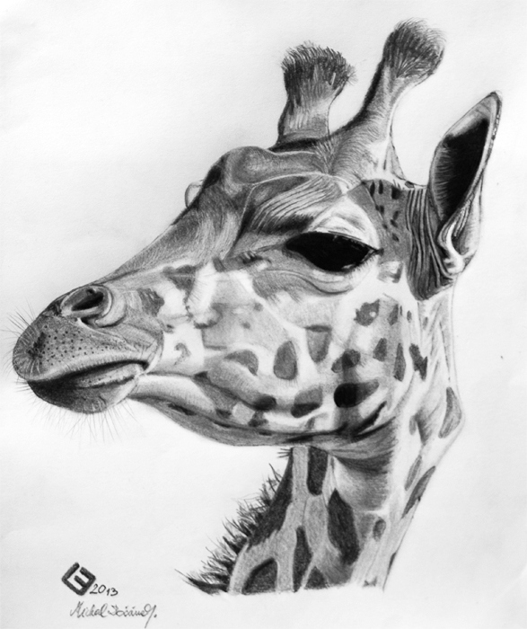 giraffe II