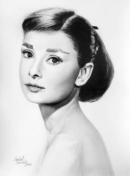 Audrey Hepburn - pencil drawing