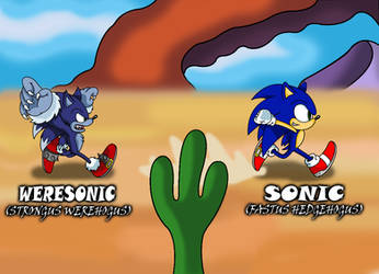 Sonic and Weresonic