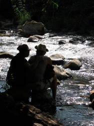 River Watching