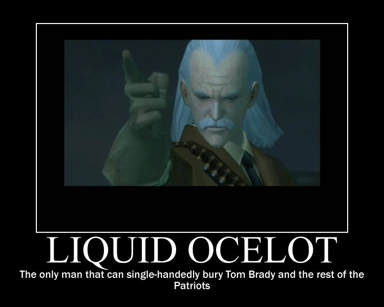 Liquid Ocelot