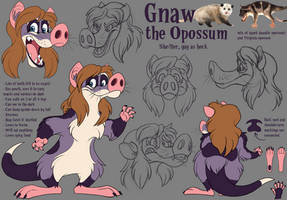 Gnaw the Opossum