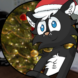 Alex, Christmas