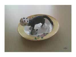 The Cheshire Cat ...