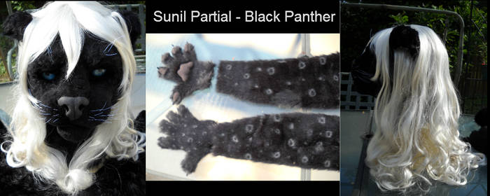 Sunil's Panther