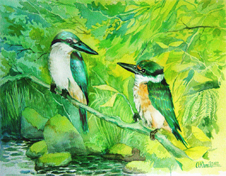 kingfishers father and son