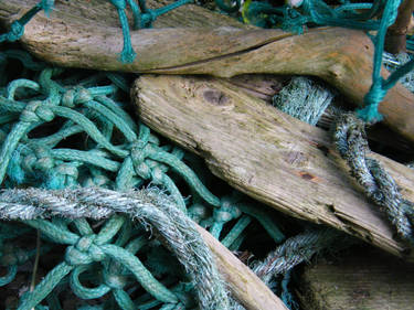 Drift wood  net.