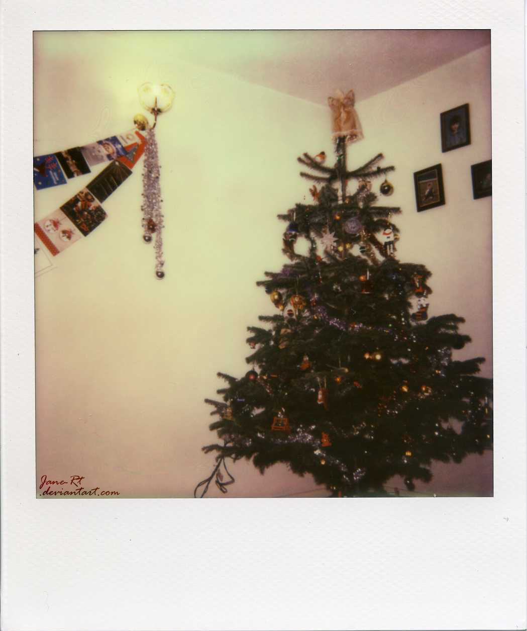 Polaroid - Christmas 2012