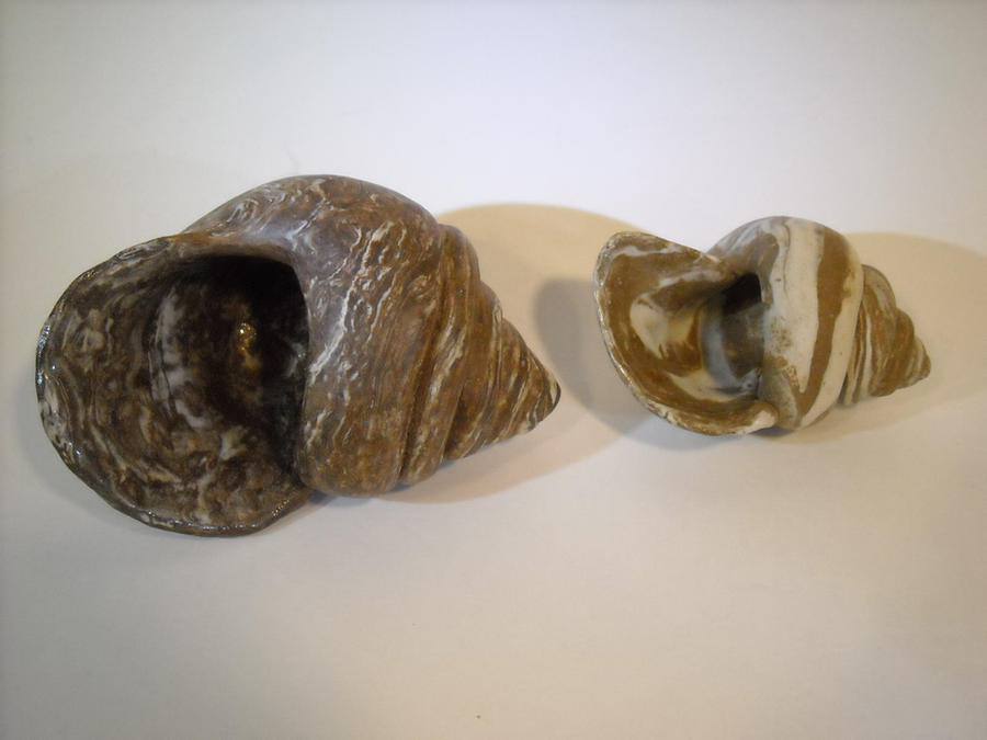 Two Shells Pfp Two Shells by OragamiPaperGuy on DeviantArt