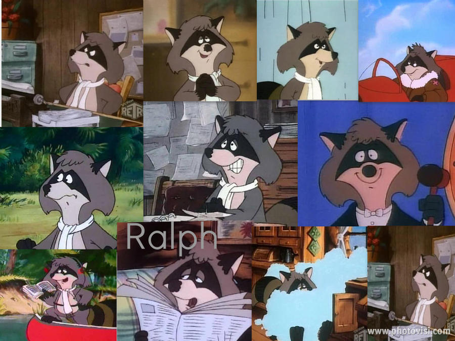 Ralph Racoon Ralph Raccoon: The Quiet One by GoodCaptainClack on DeviantArt