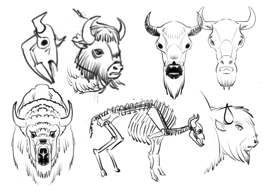 More Bison By Sol Caninus On DeviantArt