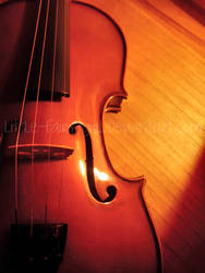 My precious violin