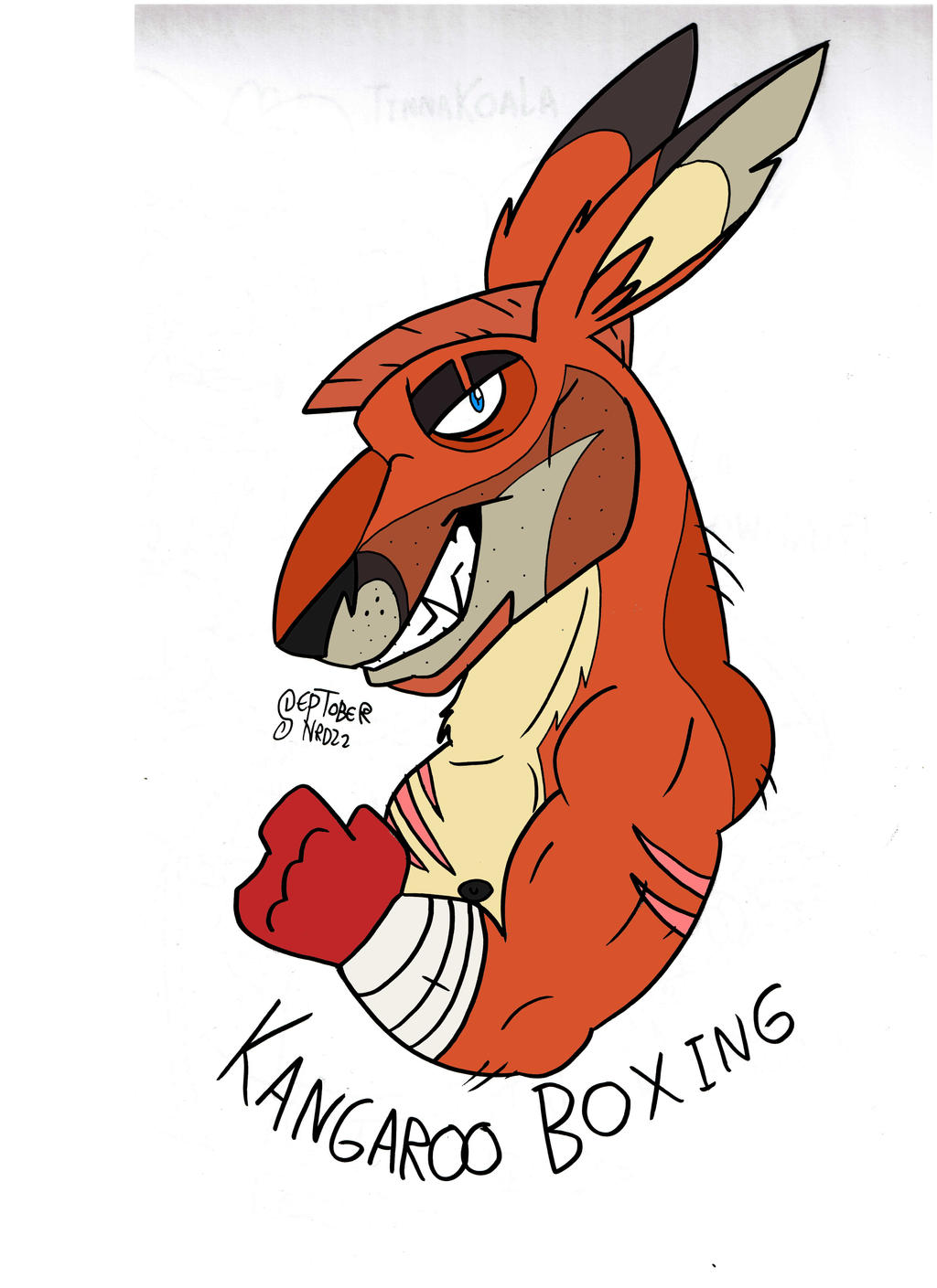Kangaroo Boxing by norarosa on DeviantArt