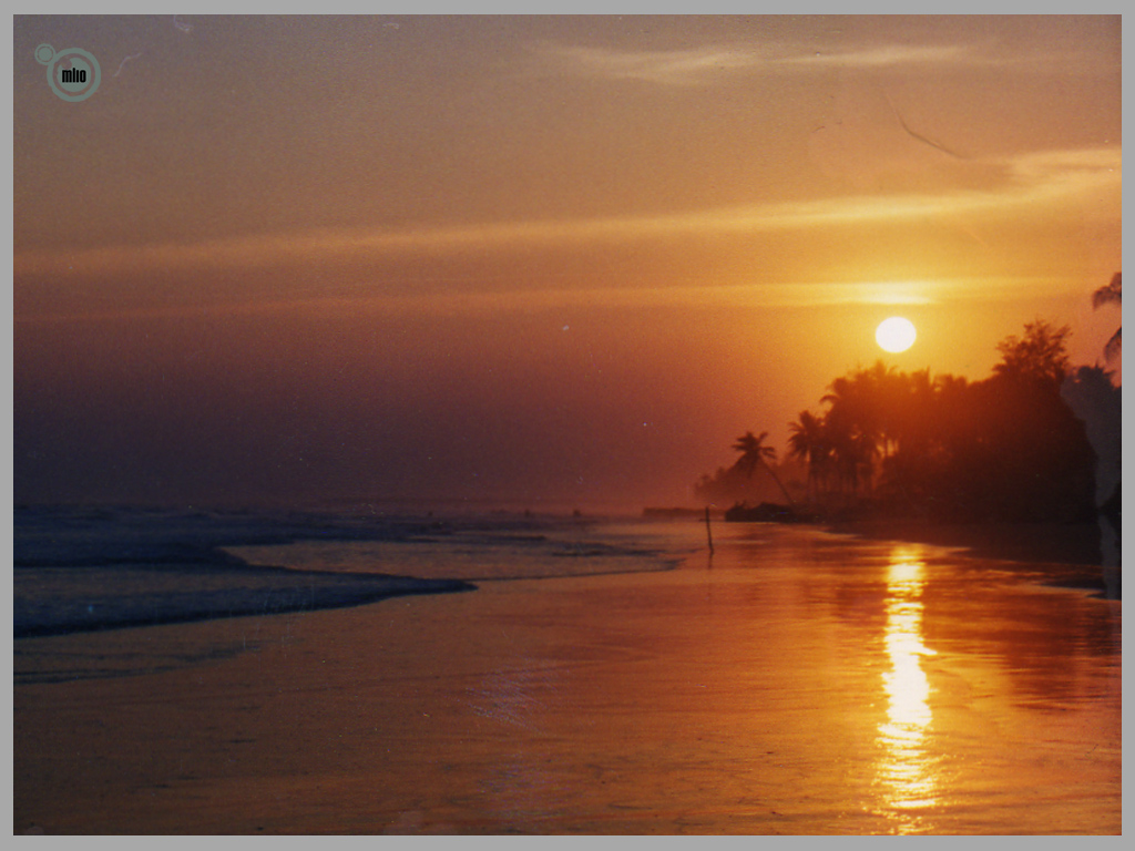 Beach sunset.