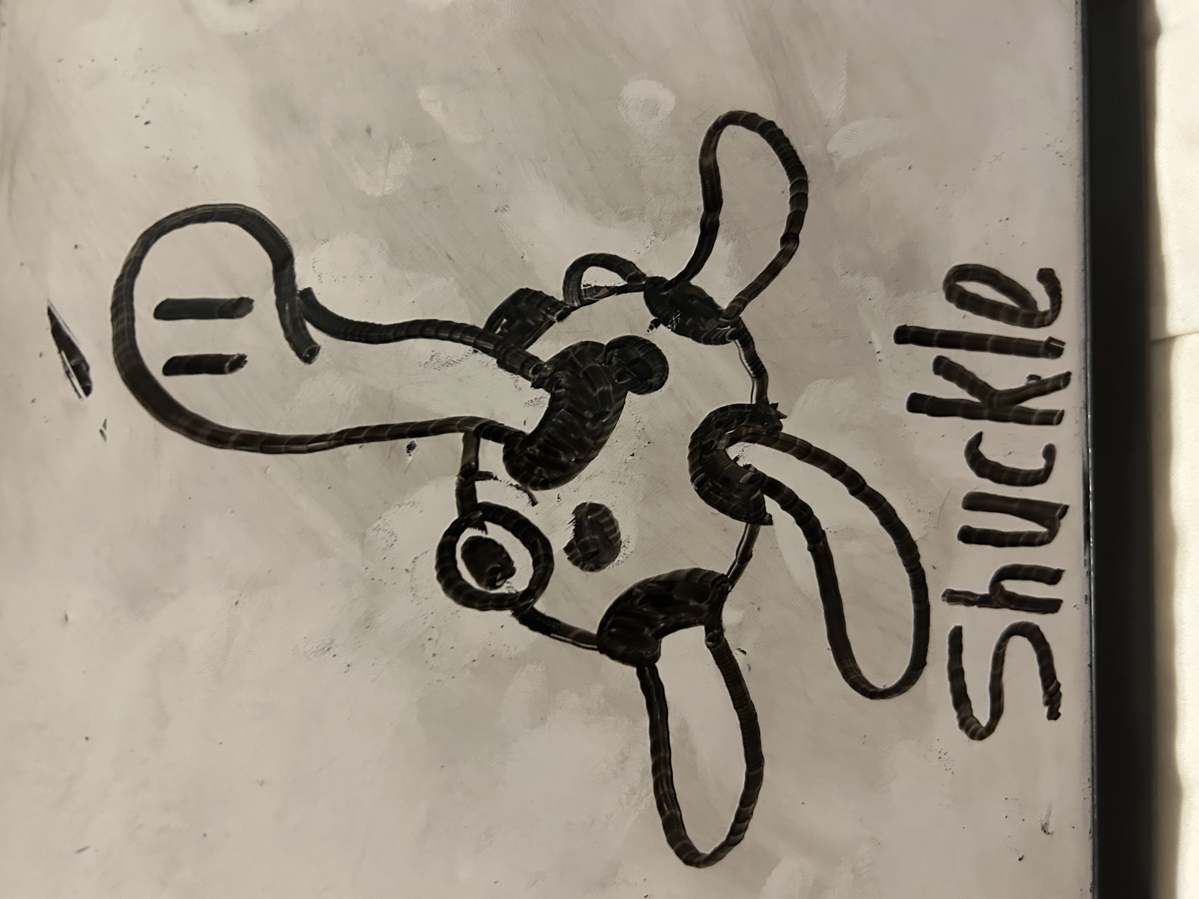 Shuckle Inspiration Shuckle Drawing by PocketMonster110 on DeviantArt