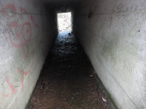 Tunnel