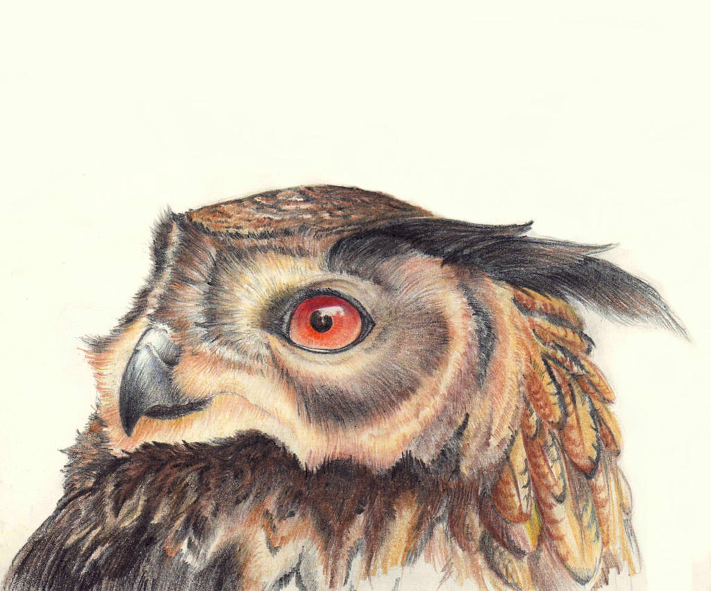 Eagle- owl