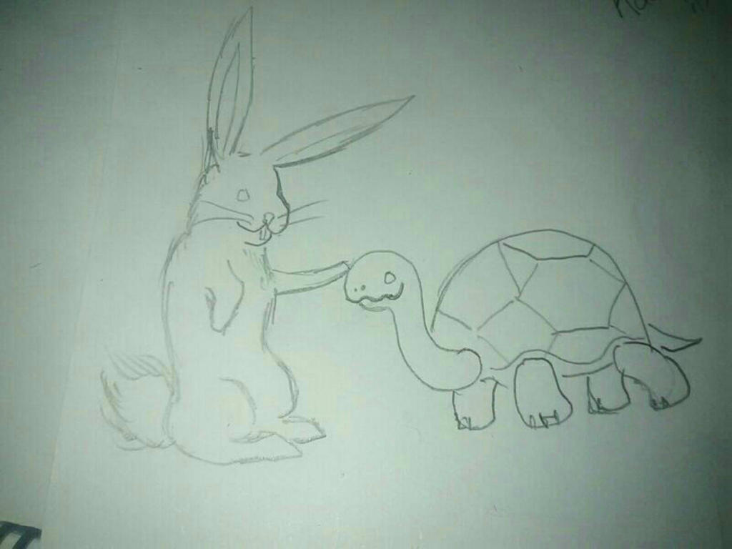 Turtle Rabbit Combined Rabbit and Turtle by Wulijesteryoz on DeviantArt