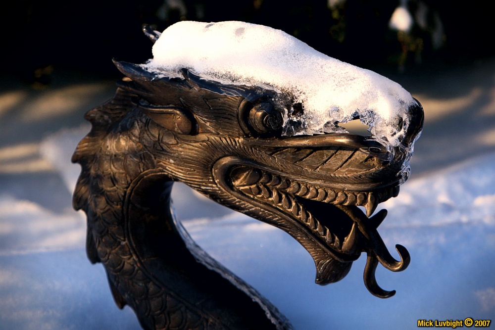 Frozen Dragon