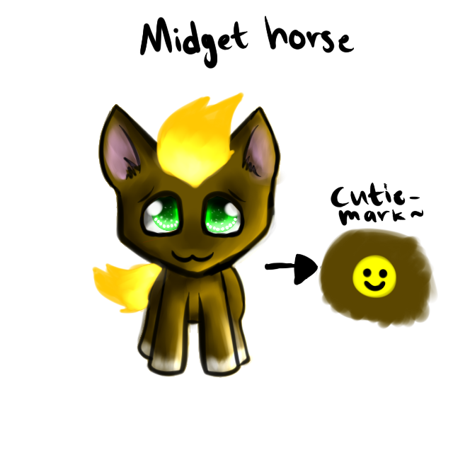 MIDGET HORSE