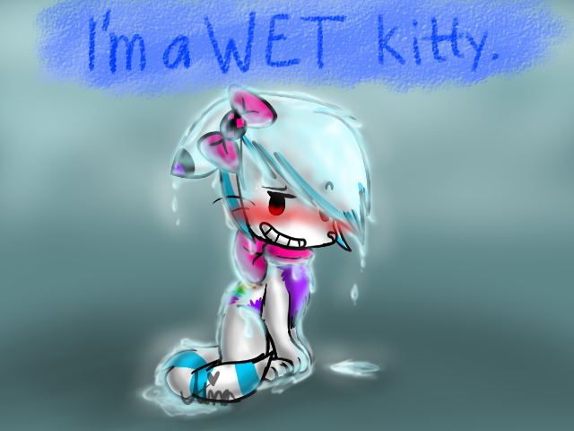 wet kitty