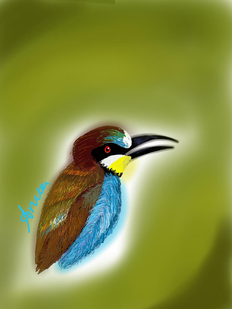 merops bird by Arwaiq on DeviantArt