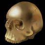 Semi-realistic skull