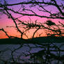 Sunset Birdbath